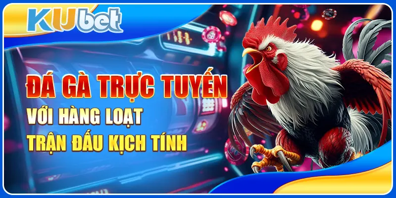 Đá gà trực tuyến với hàng loạt trận đấu kịch tính